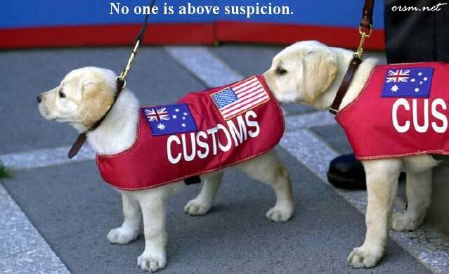 no one is above suspicion customs humour